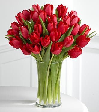 tulips-30.jpg