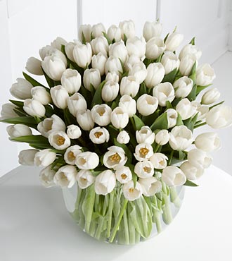 vase-tulips.jpg