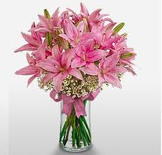 pink-lilies-uae.jpg