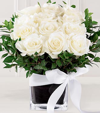 white-roses-uae-lr.jpg